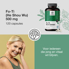 Image preview 2