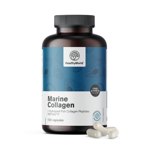 Zee-collageen 1170 mg, 120 capsules