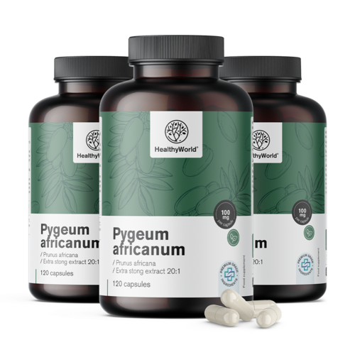 3x Pygeum – extract van de Afrikaanse pruim, totaal 360 capsules