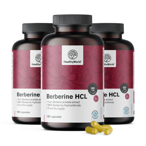 3x Berberine HCL 500 mg, totaal 540 capsules