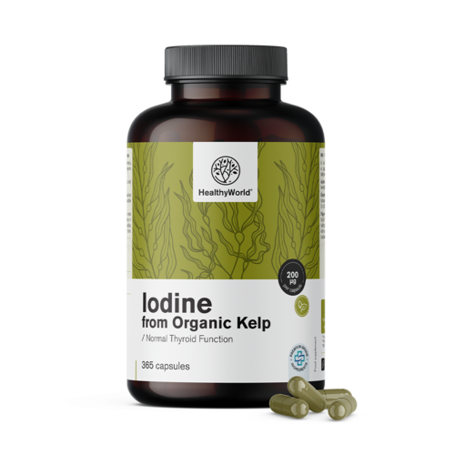 Natuurlijk jodium 200 µg – uit BIO kelp algen, 365 capsules