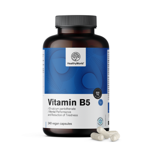 Vitamine B5 500 mg, 240 capsules