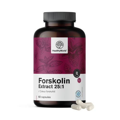 Forskolin – uit extract van Indiase brandnetel 20 mg, 60 capsules