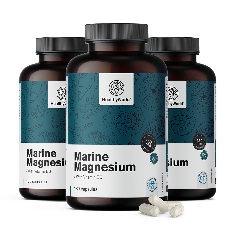 Zeemagnesium 360 mg