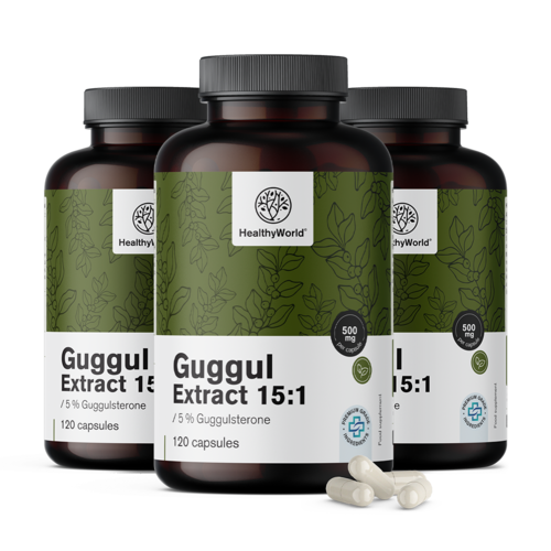 3x Guggul 500 mg - extract 15:1, totaal 360 capsules