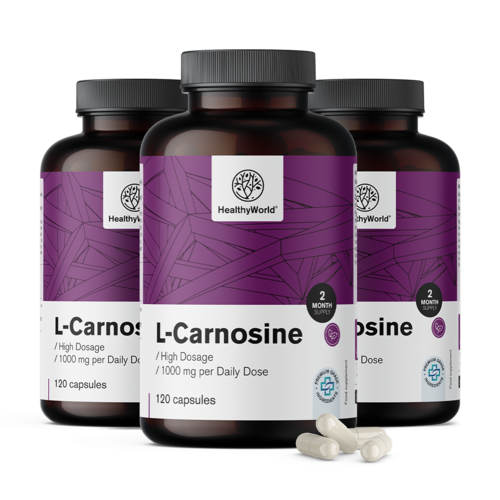 3x L-carnosine 1000 mg, totaal 360 capsules