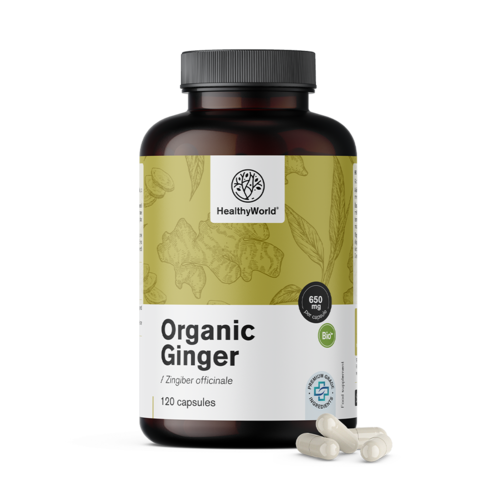 BIO Gember 650 mg, 120 capsules