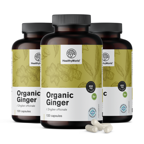 3x BIO Gember 650 mg, totaal 360 capsules