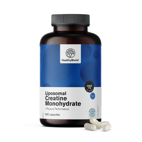 Liposomaal creatine monohydraat 3000 mg, 240 capsules