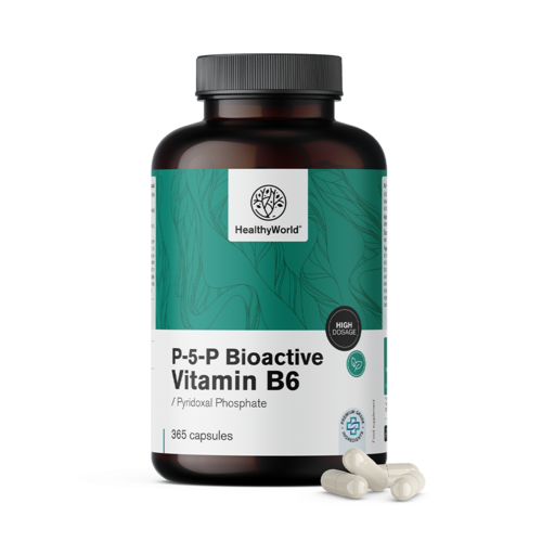 P-5-P - Bioactieve vitamine B6, 365 capsules