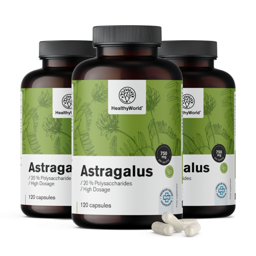 3x Astragalus – extract, totaal 360 capsules