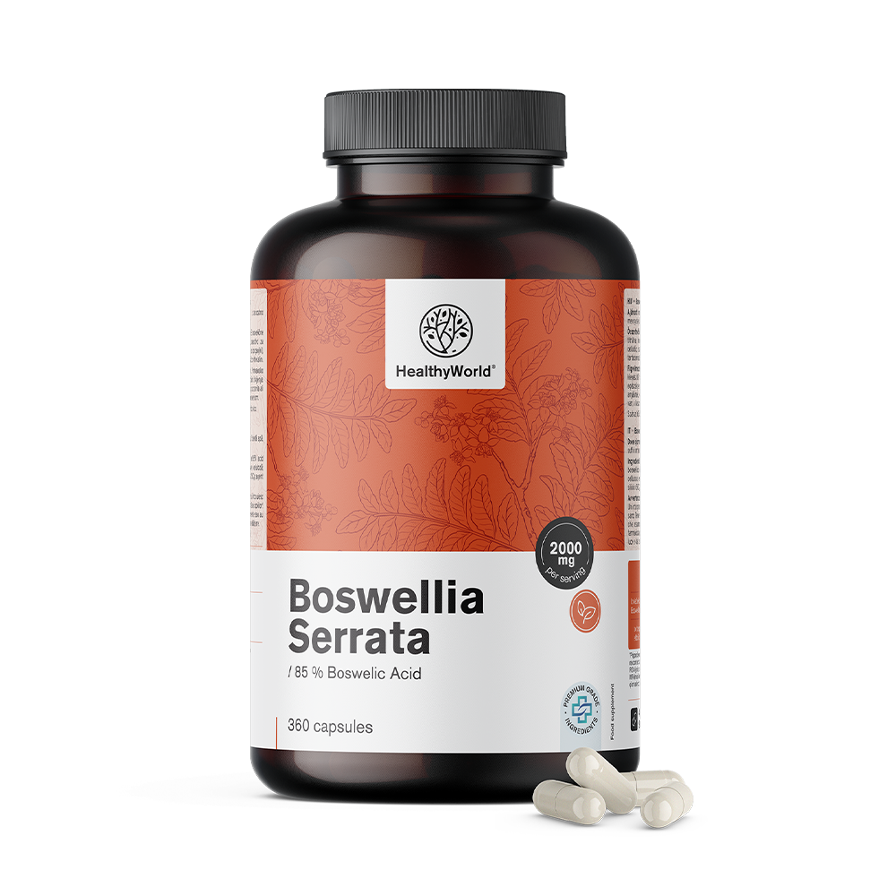 Boswellia (Boswellia serrata) – 85% boswelliazuur