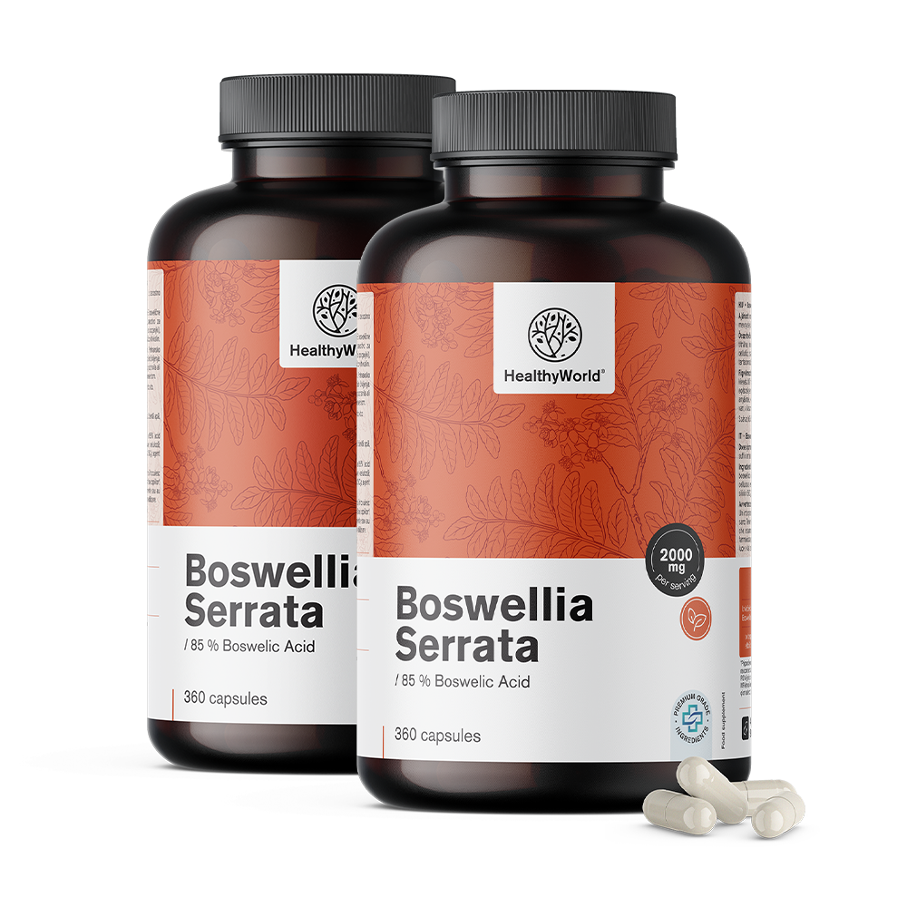Boswellia (Boswellia serrata) – 85% boswelliazuur