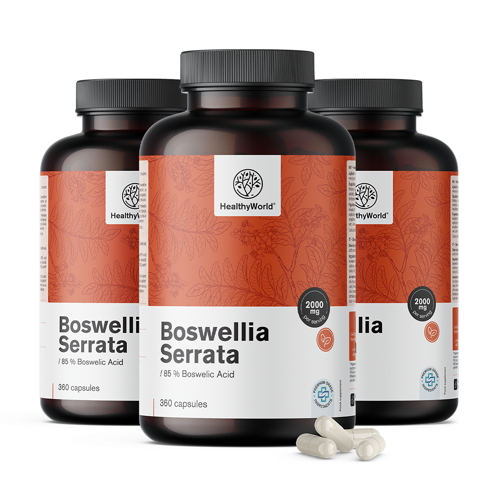 Boswellia (Boswellia serrata) – 85% boswelliazuur