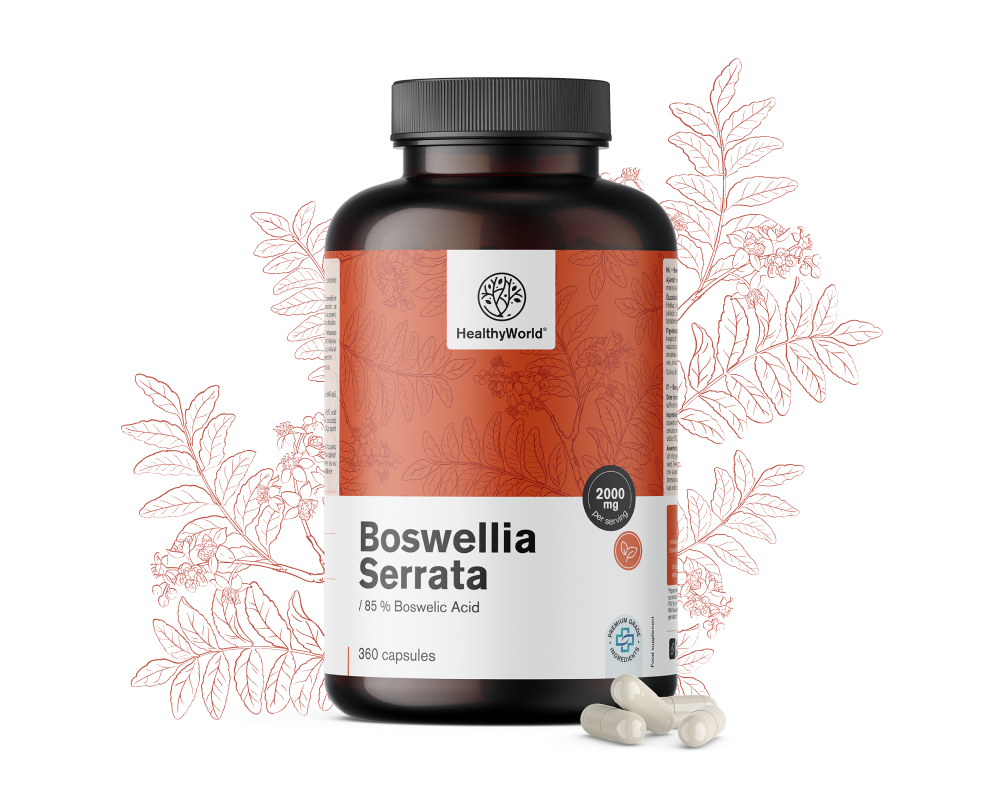 Boswellia (Boswellia serrata) – 85 % boswelliazuur