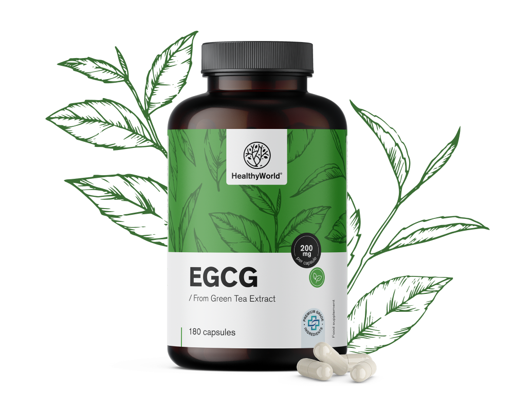 EGCG – uit groene thee-extract